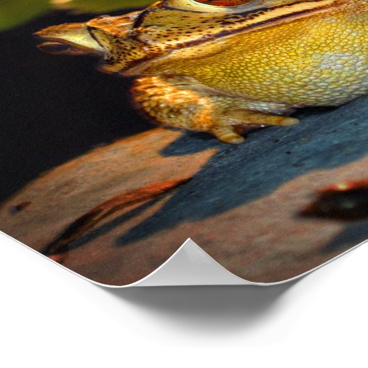 Poster Gros crapaud gras (Coin)