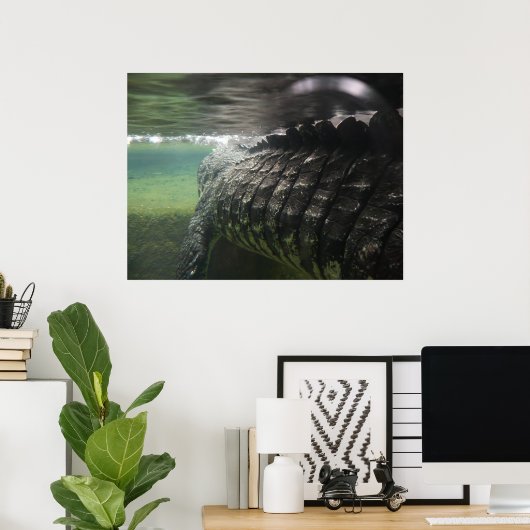 Poster Gros crocodile (Bureau à domicile)