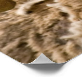 Poster Gros mouton à cornes (Coin)