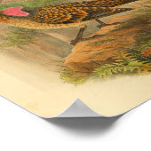 Poster Gros oiseau soufflant Brown Imprimer Vintage (Coin)