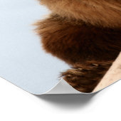 Poster Gros ours Brown sur un journal (Coin)