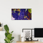 Poster Gros pépin de raisins pourpres juteux (Bureau à domicile)