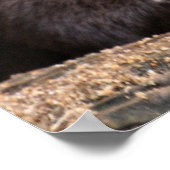 Poster Gros plan (Coin)