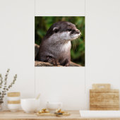 Poster Gros plan (Cuisine)