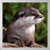 Poster Gros plan (Devant)