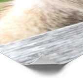 Poster Gros plan (Coin)