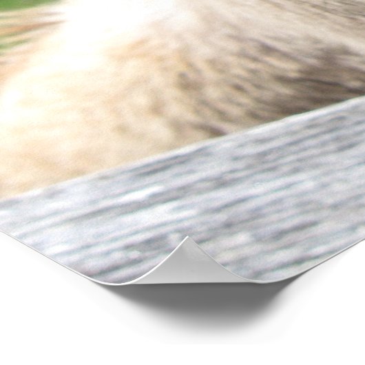 Poster Gros plan (Coin)