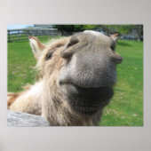 Poster Gros plan (Devant)