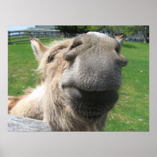 Poster Gros plan (Devant)