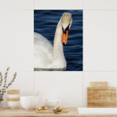 Poster Gros plan (Cuisine)