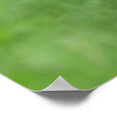 Poster Gros plan Chimpanzé sans cheveux (Coin)