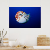 Poster Gros Plan De Chambres Nautilus (Cuisine)