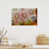 Poster Gros plan de corail rose (Cuisine)