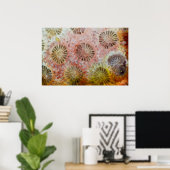Poster Gros plan de corail rose (Bureau à domicile)