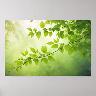Poster Gros plan de feuille Calme Tranquille Nature Saiso