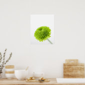 Poster Gros plan de la tête de fleur Chrysanthemum 2 (Cuisine)