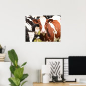 Poster Gros plan de la vache laitière blanche Holstein ro (Bureau à domicile)