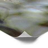 Poster Gros plan de Winter Mule Deer (Coin)