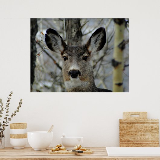 Poster Gros plan de Winter Mule Deer (Cuisine)