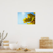 Poster Gros plan des feuilles de automne jaunes (Cuisine)