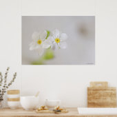 Poster Gros plan des fleurs 2 (Cuisine)