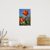 Poster Gros plan des fleurs de tulipes (Cuisine)