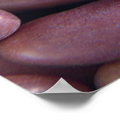 Poster Gros plan des haricots reins (Coin)