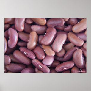 Poster Gros plan des haricots reins