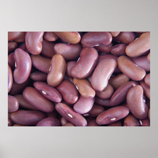 Poster Gros plan des haricots reins (Devant)