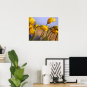 Poster Gros plan des jonquilles (Bureau à domicile)