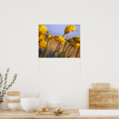 Poster Gros plan des jonquilles (Cuisine)