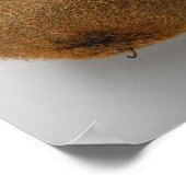 Poster Gros plan des kiwis 2 (Coin)