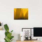 Poster Gros plan des pétales de tournesol (Bureau à domicile)