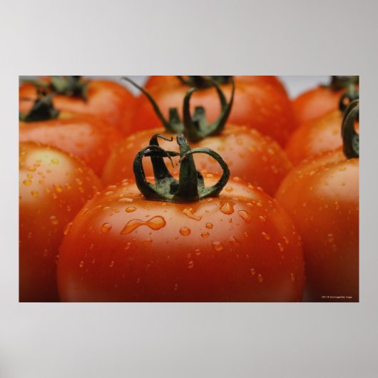 Poster Gros plan des tomates 2 (Devant)