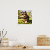 Poster Gros plan du chien (Cuisine)