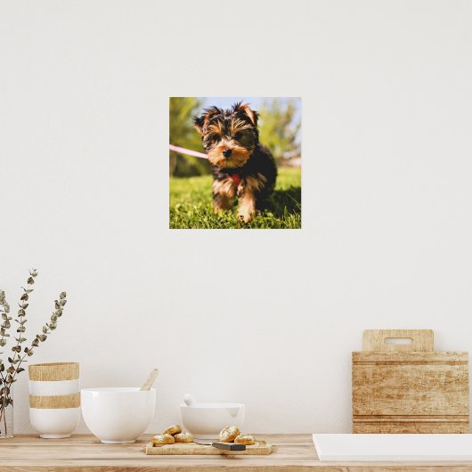 Poster Gros plan du chien (Cuisine)