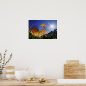 Poster Gros plan du papillon, ailes battant (Cuisine)