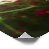 Poster Gros plan du papillon sur la fleur (Coin)