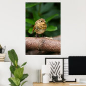 Poster Gros plan d'un charmant bébé Robin (Bureau à domicile)