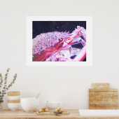 Poster Gros plan d'un crabe d'araignée (Cuisine)