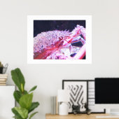 Poster Gros plan d'un crabe d'araignée (Bureau à domicile)