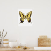 Poster Gros plan d'un papillon 2 (Cuisine)