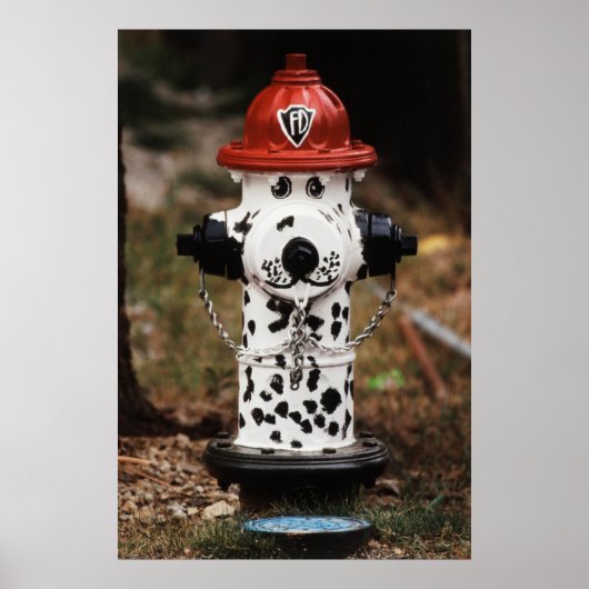 Poster Gros plan d'une borne d'incendie (Devant)