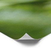 Poster Gros plan d'une coccinelle sur une branche (Coin)