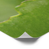 Poster Gros plan d'une coccinelle survolant une feuille (Coin)