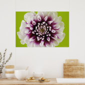 Poster Gros plan d'une fleur (Cuisine)