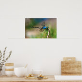 Poster Gros plan d'une libellule bleue sur une branche (Cuisine)