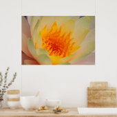 Poster Gros Plan D'Une Lys D'Eau (Cuisine)