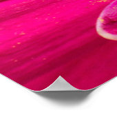 Poster Gros plan d'une marguerite de Gerber (Coin)