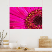 Poster Gros plan d'une marguerite de Gerber (Cuisine)